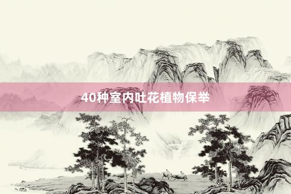 40种室内吐花植物保举