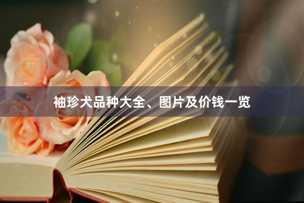 袖珍犬品种大全、图片及价钱一览